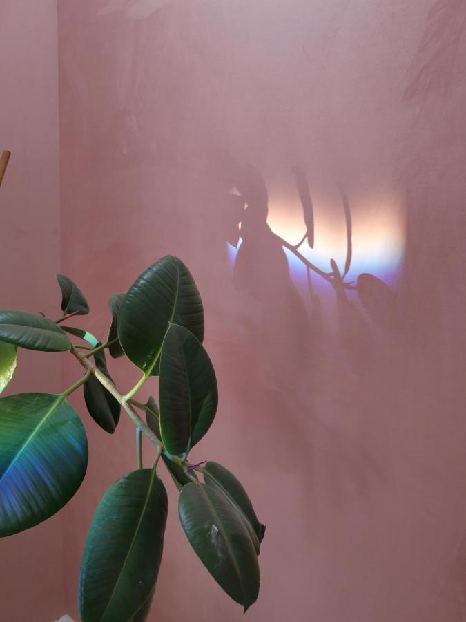 Jardin D'hiver Bed & Breakfast 2*